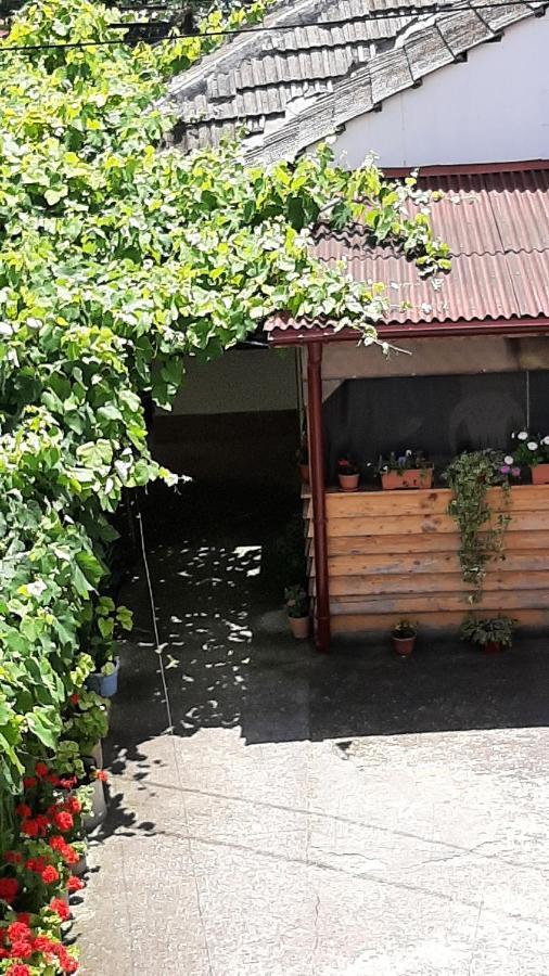 Bcm Family House 호텔 Două Mai 외부 사진