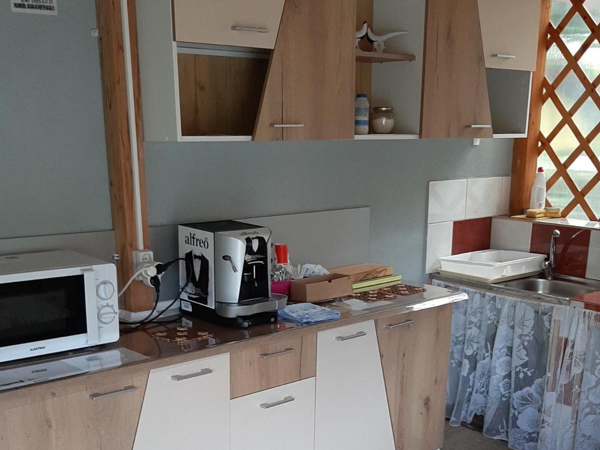 Bcm Family House 호텔 Două Mai 외부 사진